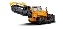  ��������� ��10.11 ��� 25 (D25) � �������